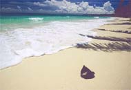 Angol Point Beach Resort
