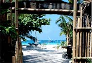 Bamboo Bungalows