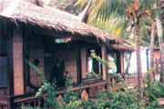 Cocomangas Hotel Beach Resort