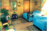 Cocomangas Hotel Beach Resort Room