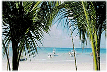 JMBS Cottages Beach View