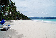 The Orchids Resort