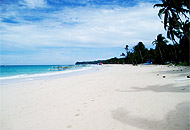 The Orchids Resort